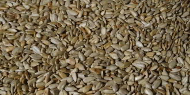 Рецепт халвы домашней