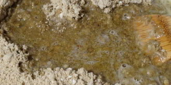 Рецепт халвы домашней