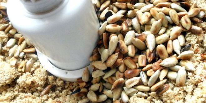 Рецепт шоколадных конфет с халвой