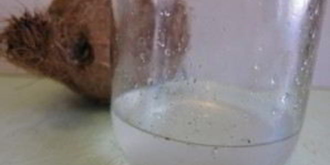 Рецепт домашних конфет рафаэлло