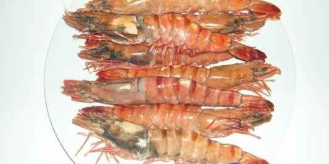 Рецепт креветок королевских под кремом из фасоли и оливок