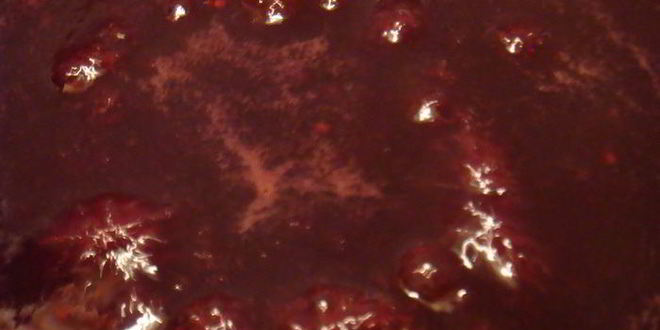 Рецепт джема-мармелада вишнево-малиновый