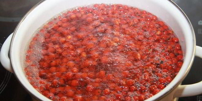 Рецепт рябинового мармелада