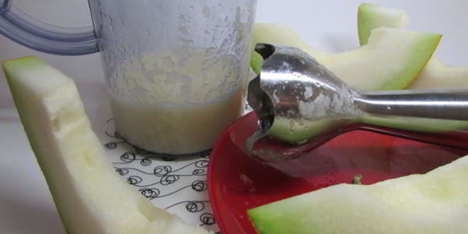 Рецепт дынного мороженого