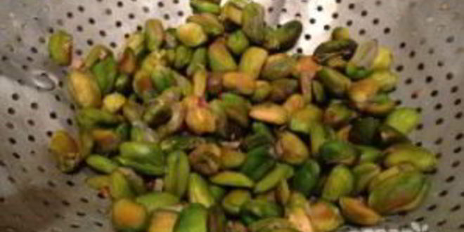 Рецепт итальянского мороженого джелато