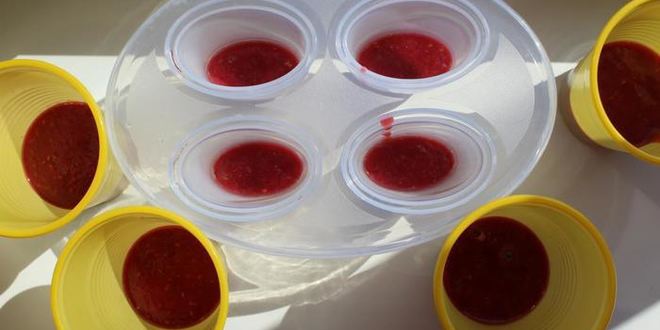 Рецепт молочного мороженого с малиновым конфи