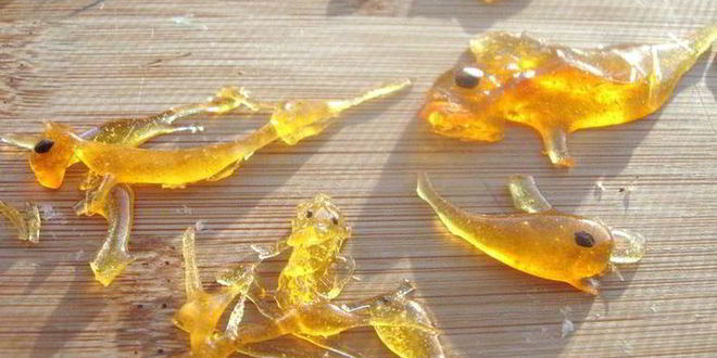 Рецепт ванильного мороженого и груша-пашот сладкая парочка