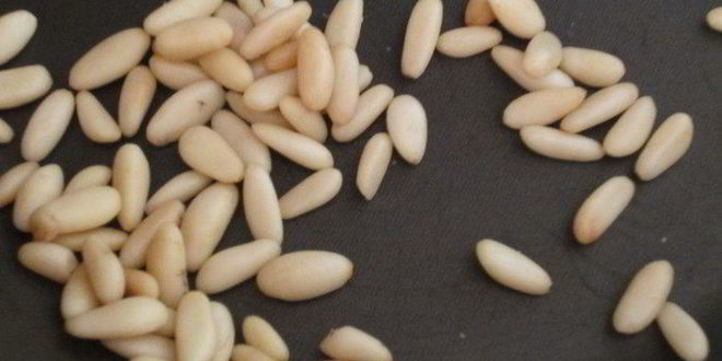 Рецепт мандаринового мусса