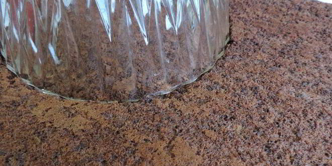 Рецепт торта-купола цукотто с апельсиновым и шоколадным муссами