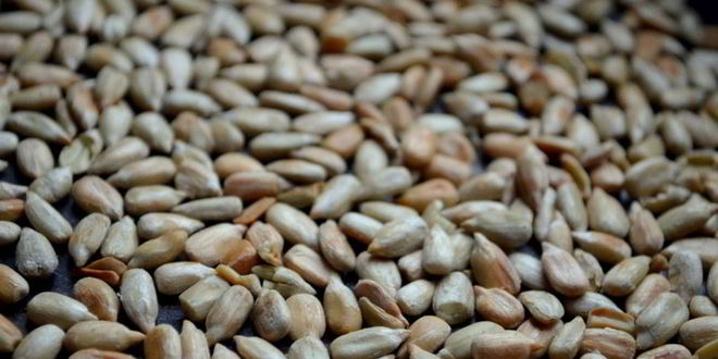 Рецепт творожного мусса с яблочным соусом