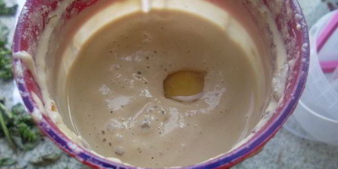 Рецепт запеченного мусса из белых грибов со сметаной