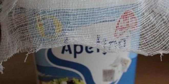 Рецепт пасхи апельсиновой