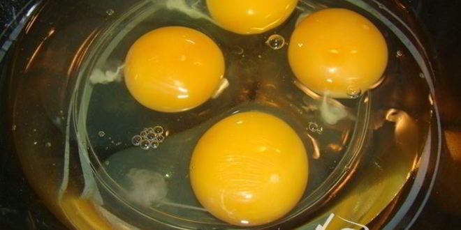 Рецепт пасхального хлеба