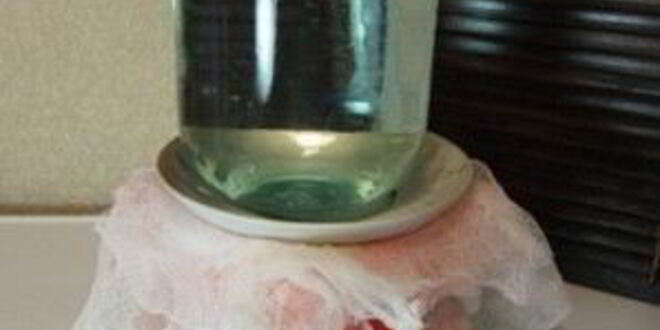 Рецепт творожной пасхи фисташковой