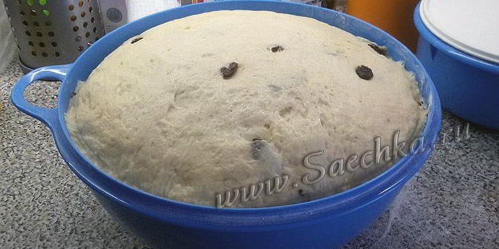 Как приготовить венское тесто для куличей