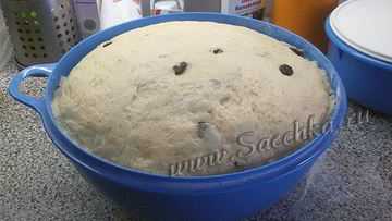 Рецепт Венского теста для куличей