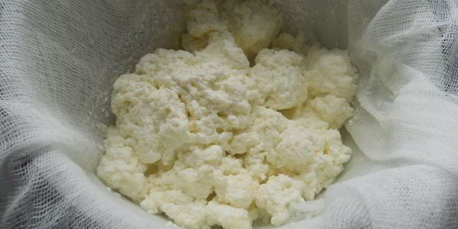 Рецепт расагулы — индийской сладости