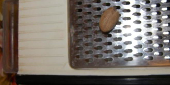 Рецепт диетического рыбного суфле с рыбой в духовке