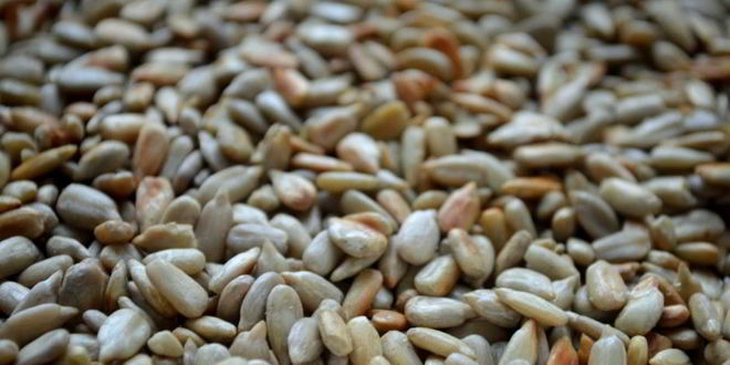 Рецепт суфле из сельдерея с курагой