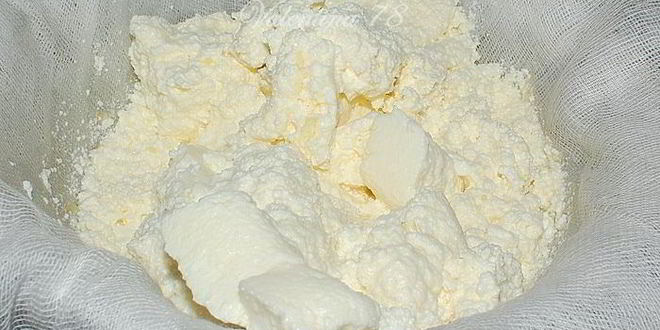 Рецепт творога домашнего