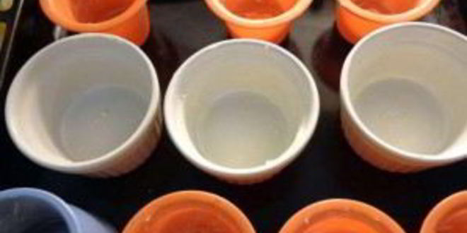 Рецепт творожно-ягодного пудинг