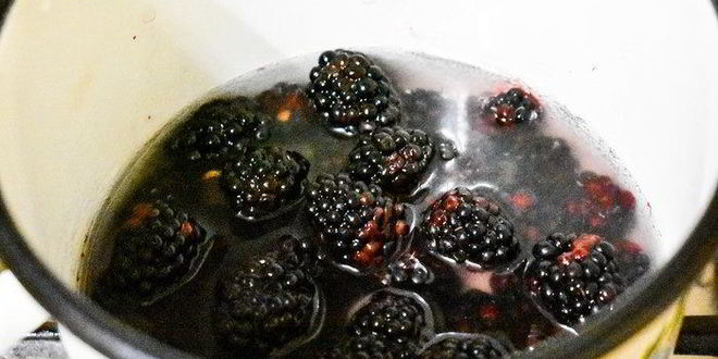 Рецепт зефира из ежевики