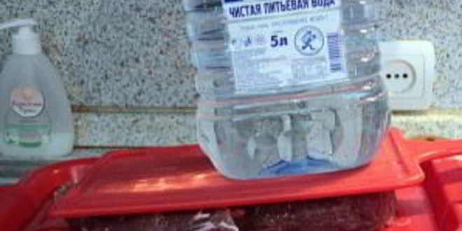 Рецепт бастурмы из говядины по-армянски