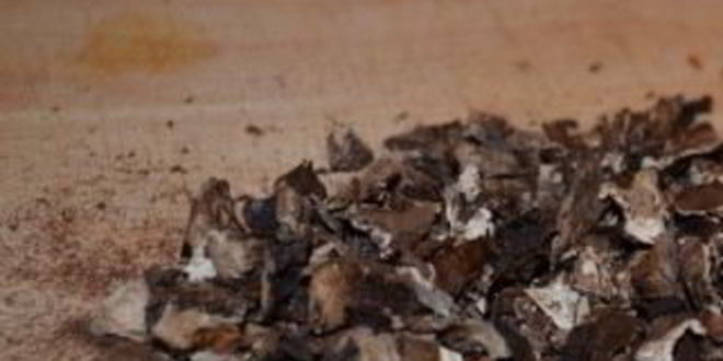 Рецепт чахохбили из свинины