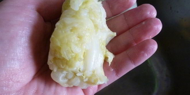 Рецепт форшмака из капусты