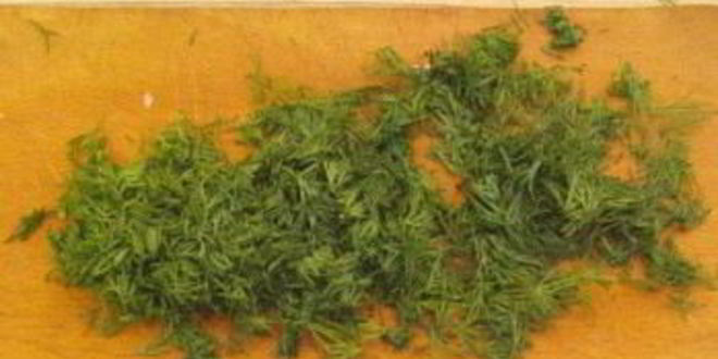 Рецепт фрикаделек грибных