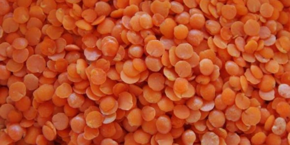 Как приготовить чечевицу с овощами для детей