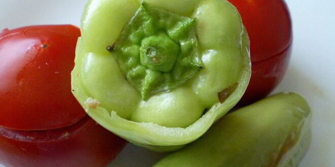 Рецепт бадымджана, бибяра, помидора долмасы