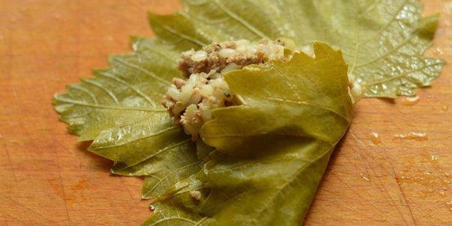 Рецепт долмы из говядины