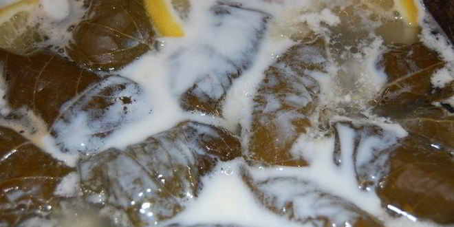 Рецепт долмы из виноградных листьев