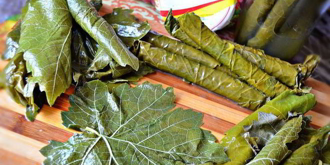Рецепт долмы по-армянски