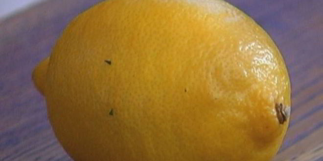 Рецепт долмы с кускусом и вялеными помидорами