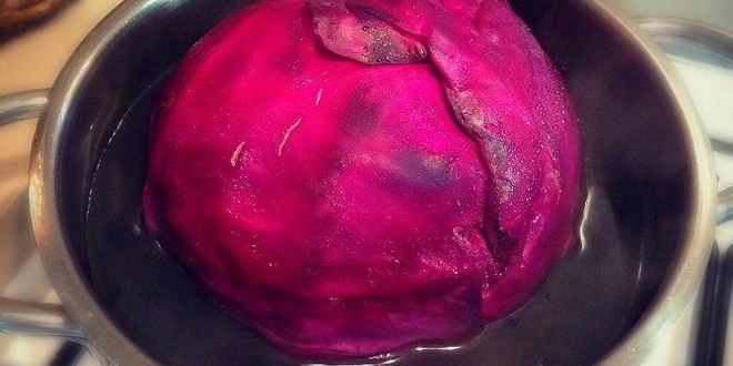 Рецепт голубцов из краснокочанной капусты с овощной начинкой