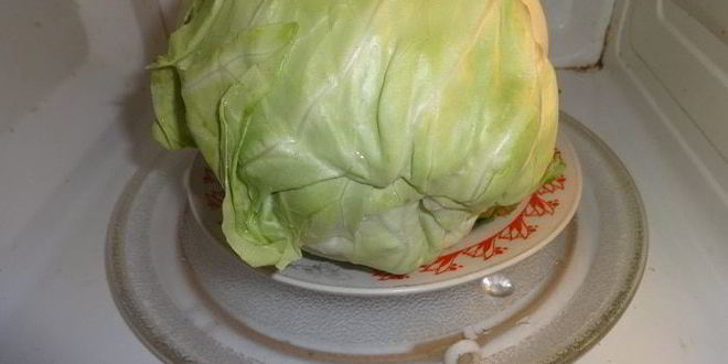 Рецепт голубцов из молодой капусты с фаршем и чечевицей