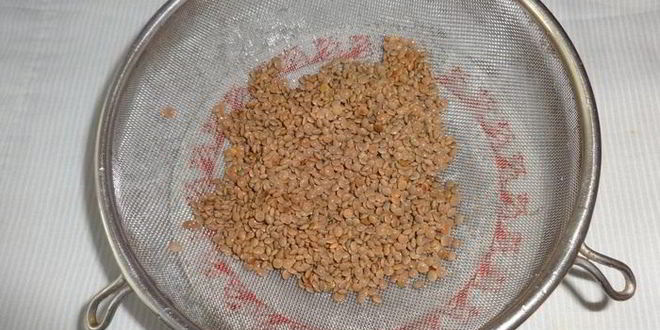 Рецепт голубцов из молодой капусты с фаршем и чечевицей