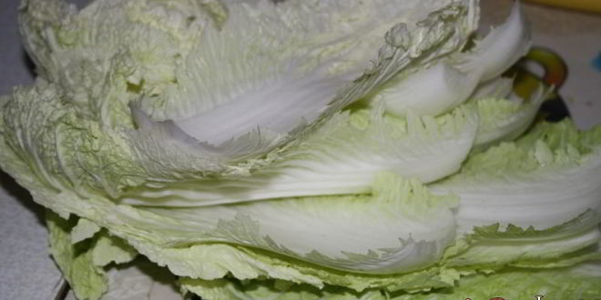 Рецепт голубцов из пекинской капусты