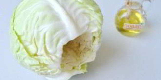 Рецепт голубцов из свинины по-домашнему