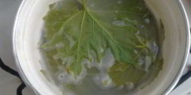 Рецепт голубцов из виноградных листьев