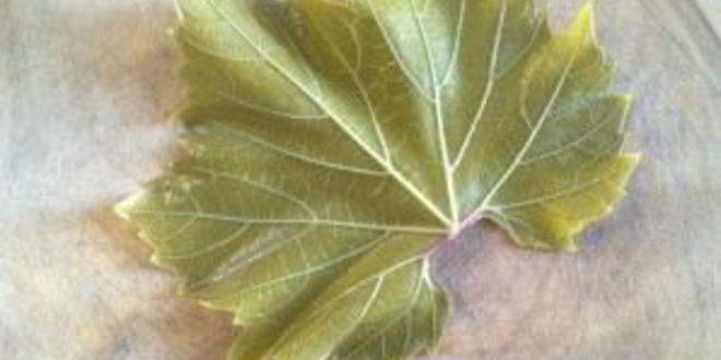 Рецепт голубцов из виноградных листьев