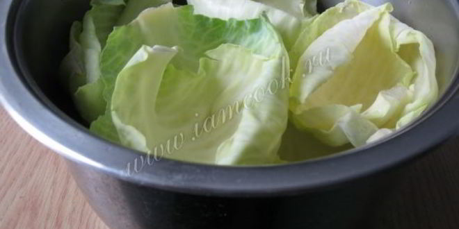 Рецепт голубцов с курицей, свиной грудинкой и грибами