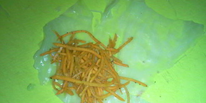 Рецепт голубцов с морковкой по-корейски