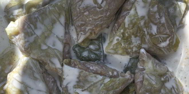 Рецепт голубцов в сметанном соусе