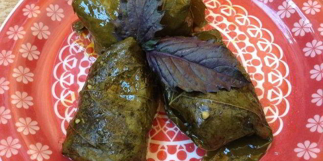 Рецепт овощной долмы
