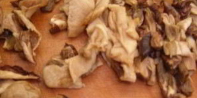 Рецепт грибной лапши из сушеных грибов