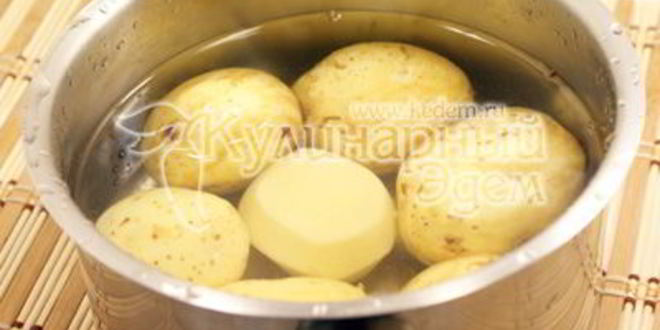 Рецепт белых грибов в сметанном соусе