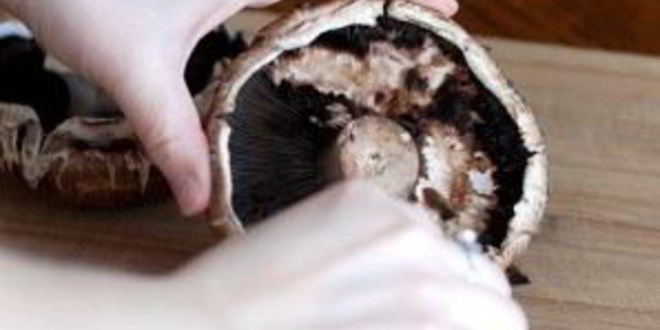 Рецепт фаршированного портобелло